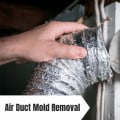 Expert HVAC Air Duct Mold Remediation Techniques for a Mold-Free Home