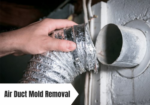 Expert HVAC Air Duct Mold Remediation Techniques for a Mold-Free Home